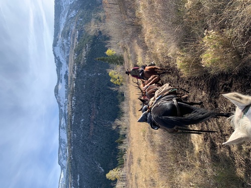 Gallery Image IMG_4641.jpg