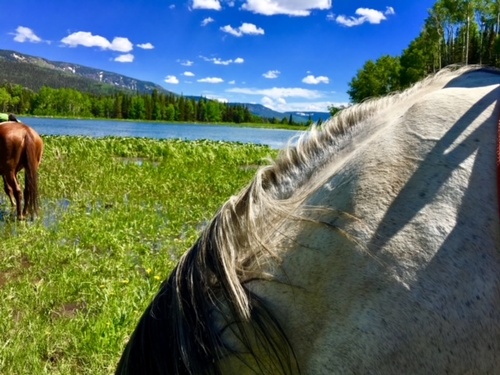 Gallery Image IMG_4888.jpg