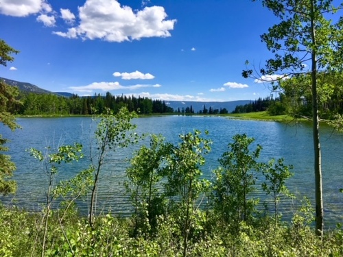 Gallery Image IMG_4902.jpg