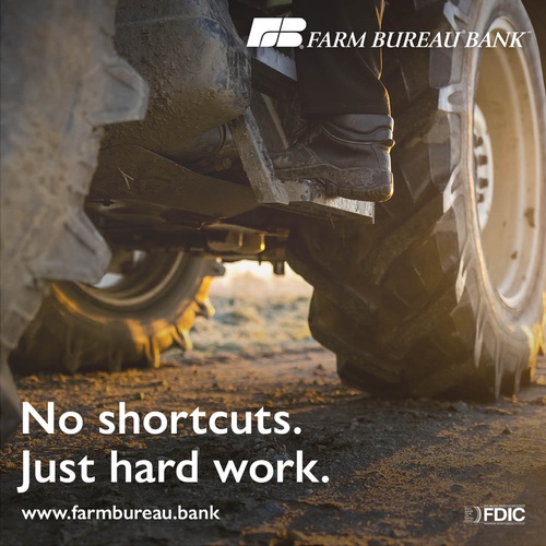 Gallery Image 589137867_122144516078706070_6473765906223485591_n.jpg