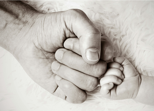 Gallery Image Screenshot%202026-02-11%20100334.png