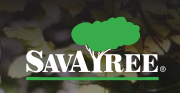 SavaTree