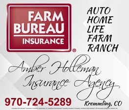 Amber Holleman Insurance Agency, LLC