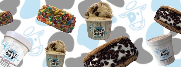 Holy Cow Ice Cream Cafe LLC