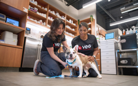 VEG ER for Pets (Veterinarian Emergency Group)