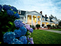 Gallery Image Screenshot%202025-07-17%20145210.png