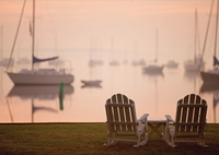 Gallery Image Screenshot%202025-07-17%20145800.png