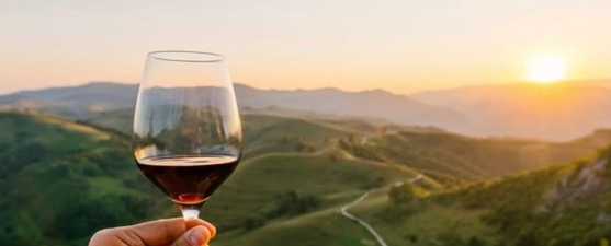 Bordeleau Winery