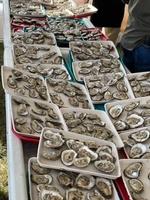 Gallery Image IMG_6780_070825-092512.jpg