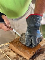Gallery Image IMG_6787.jpg