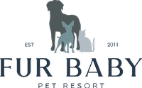 Fur Baby Pet Resort