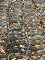 Gallery Image IMG_6307.jpg