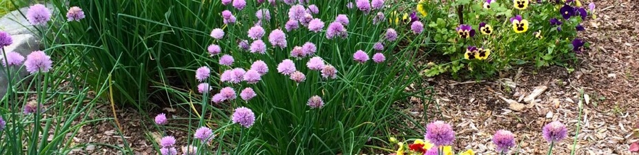 Garden & Garnish, Inc.