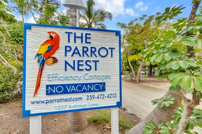 Parrot Nest