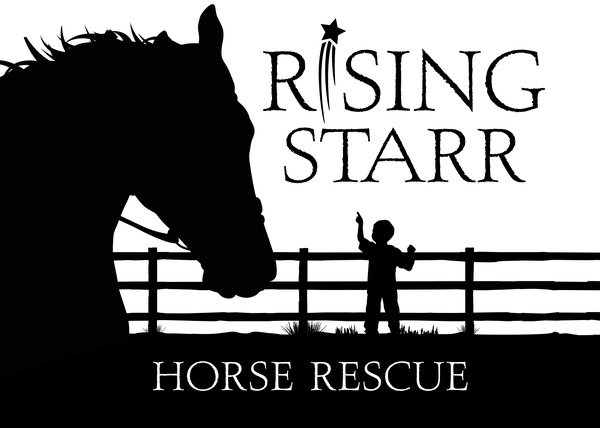 Rising Starr Horse Rescue Rising Starr Horse Rescue