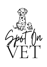 SPOT ON VET WESTPORT