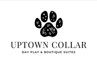 Uptown Collar