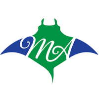 Millennium Academy