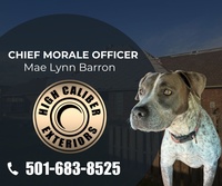 Chief Morale Officer - Mae