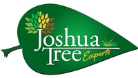 Joshua Tree Experts Greater Little Rock 
