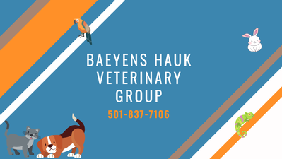 Baeyens Hauk Veterinary Group