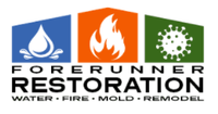 Forerunner Restoration and Remodel 