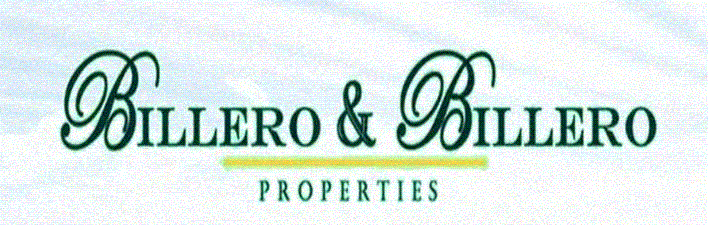 Billero & Billero Properties
