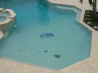 Gallery Image Agua%20Pic%202.GIF