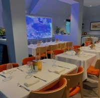 Gallery Image TR%20Pic%202.jpg