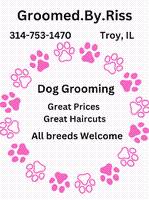 Groomed by Riss