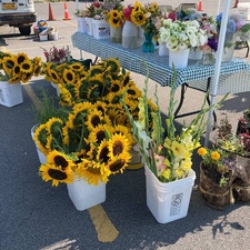 Genesee Country Farmers Market, Inc.