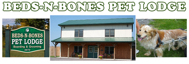 Beds-N-Bones Pet Lodge