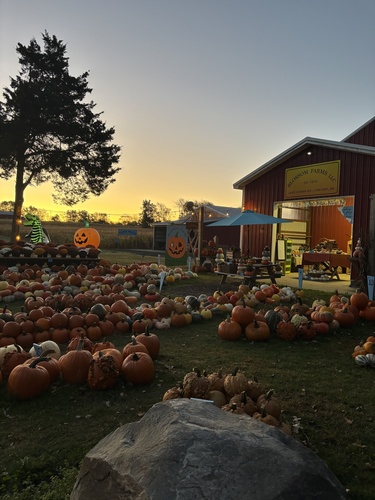 Gallery Image Blossom%20Farms%202.jpeg