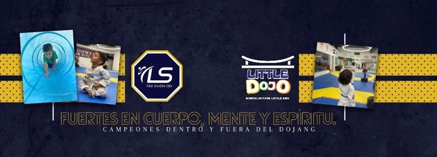 LS Taekwondo & Little Dojo