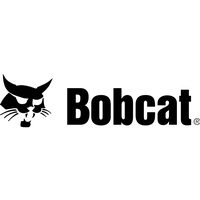 Bobcat of Lexington