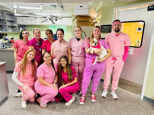 Gallery Image vet%207.jpg