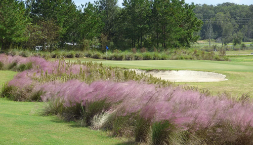 Gallery Image zellwood-golf-4.png