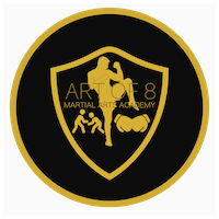 Art Of 8 Martial Arts Academy