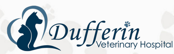 Dufferin Veterinary Hospital Dufferin Veterinary Hospital