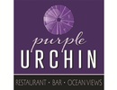 Purple Urchin