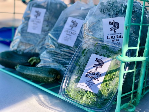 Curly Kale & Green Pea Microgreens at Pipestone Farmers Market - Photo by Erica Volkir