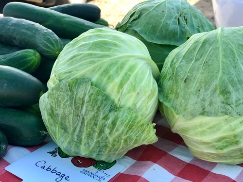 Cabbage & Cucumbers at Pipestone Farmers Market - Photo by Erica Volkir