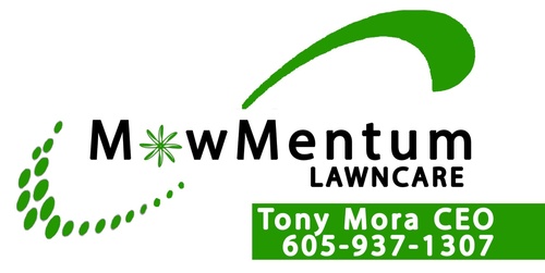 Gallery Image MowMentum%20Lawn%20Care.JPG