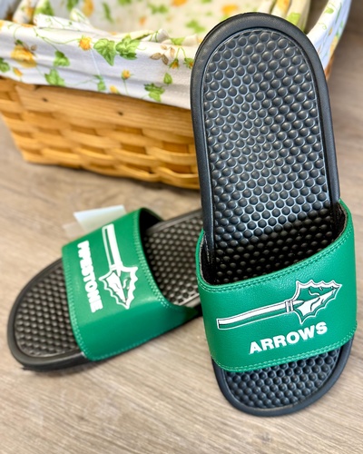 Arrows Slides  (photo by Erica Volkir)