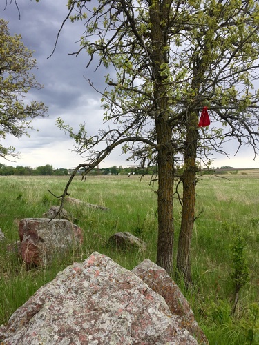 Native American Prayer Flags Along Circle Trail - Photo by Erica Volkir
