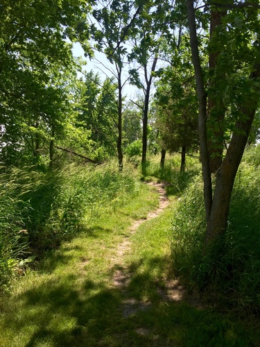 Hiking Trail along Split Rock Lake (Photo by Erica Volkir)