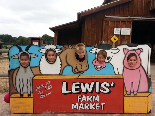 Lewis Farm Visit