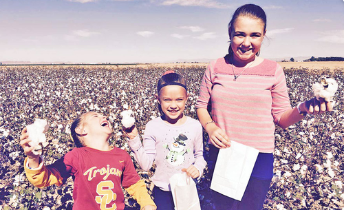 Gallery Image Family%20cotton%20picking.png