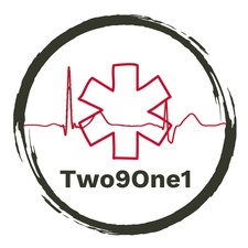 Two9One1 Services, LLC