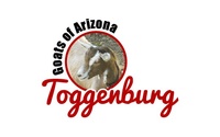 Toggenburg Goats of AZ